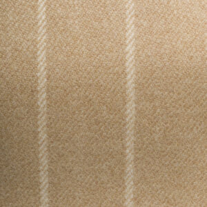 Talbot-Fudge-9780