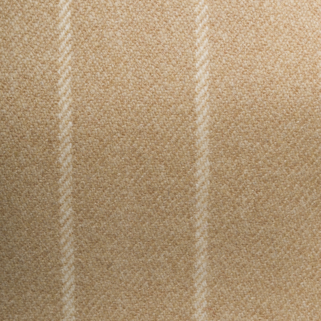 Talbot-Fudge-9780