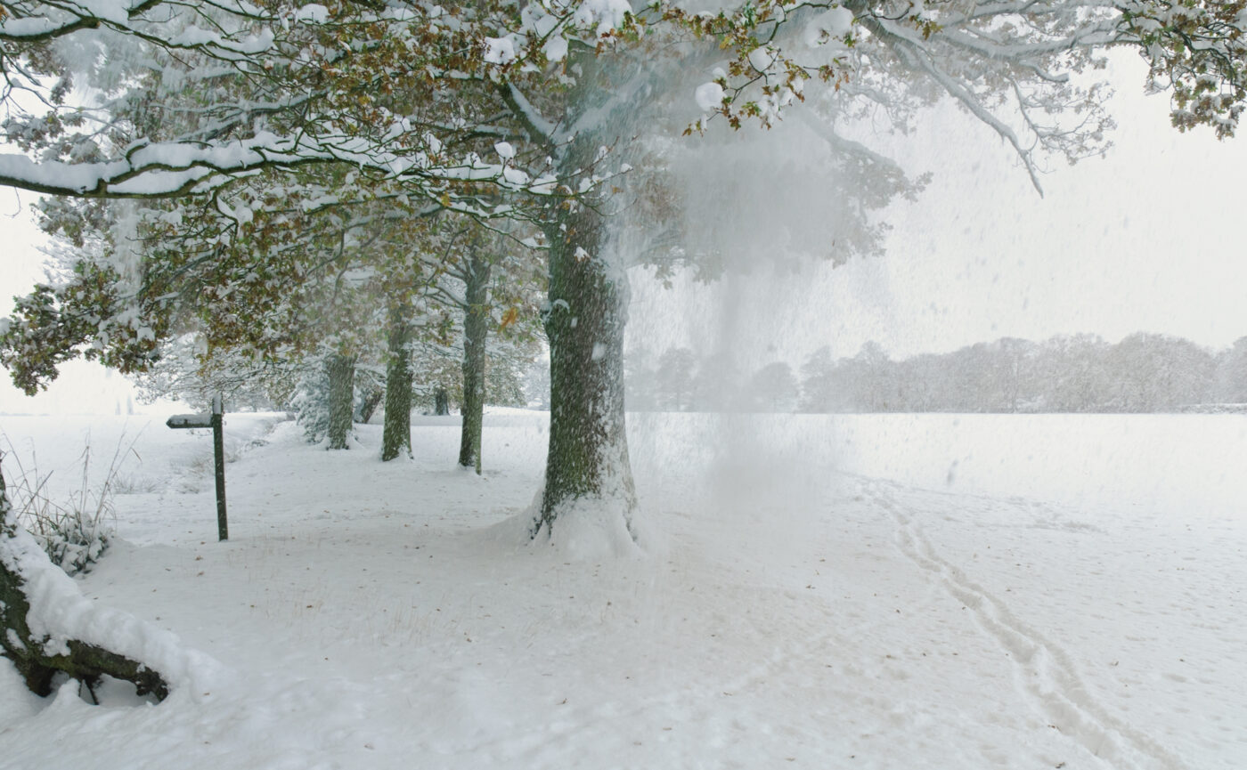 Eastlands Winter West Sussex 01-0