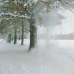 Eastlands Winter West Sussex 01-0