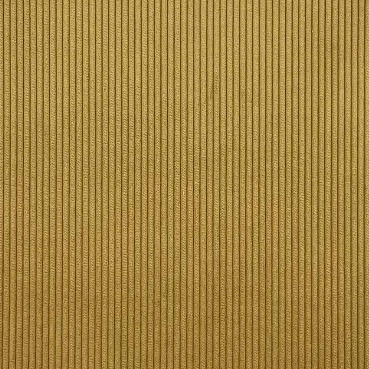 Hunter-Heavyweight 8 Whale Corduroy in Fawn