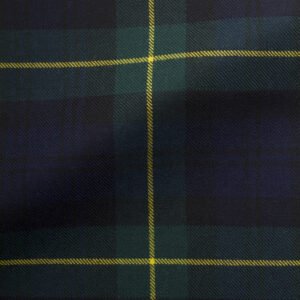 Gordon Modern Tartan-13629