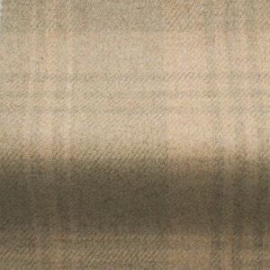 Check Fabric