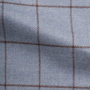 Windowpane Check