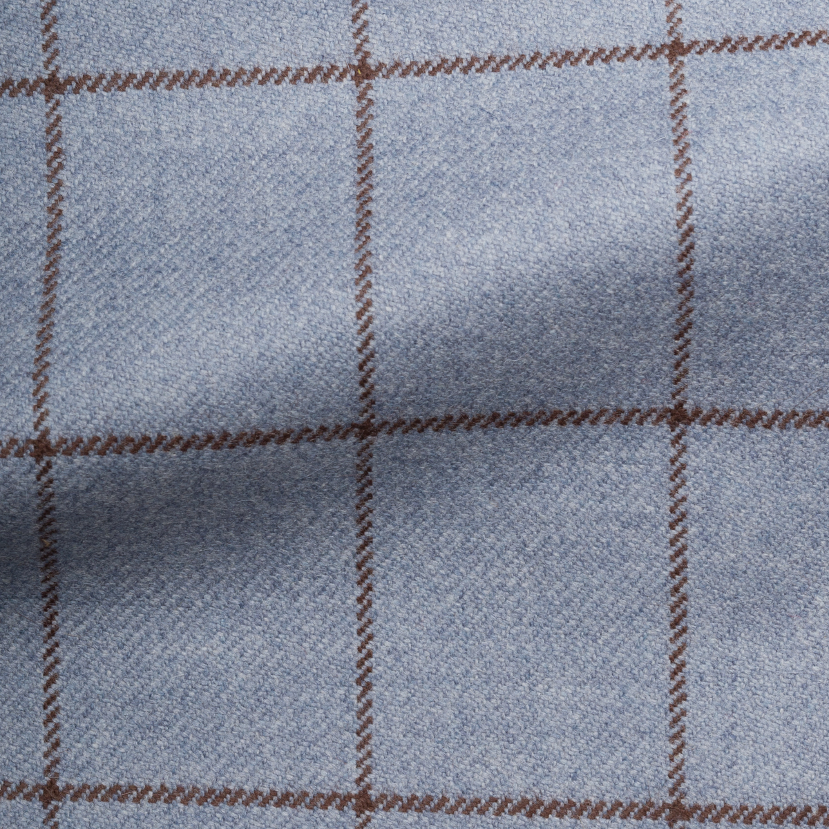 Windowpane Check