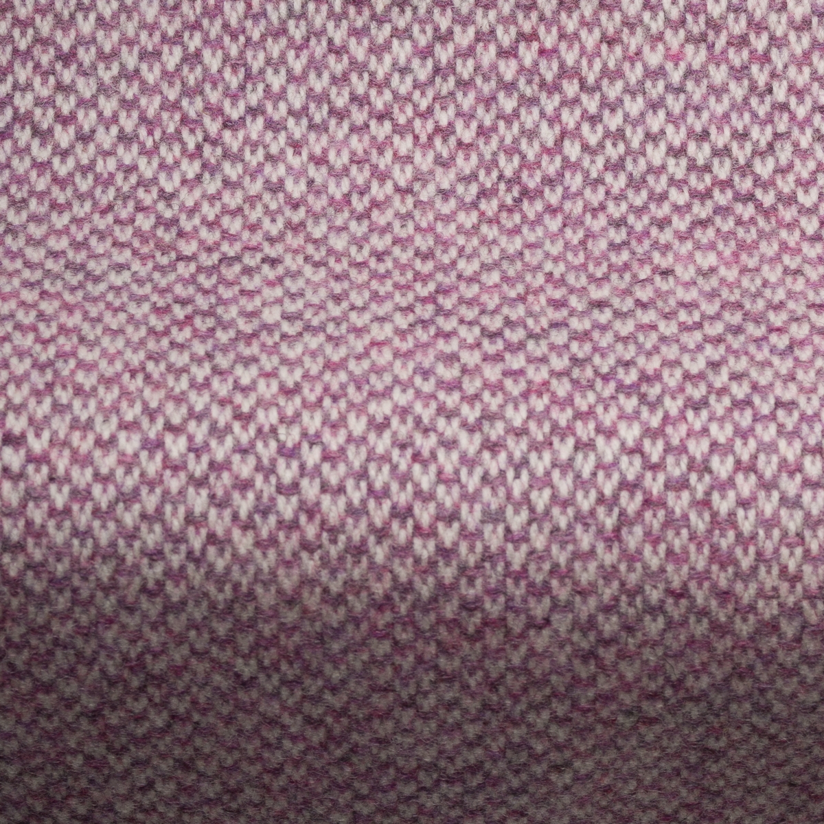 Cartmel Lavender
