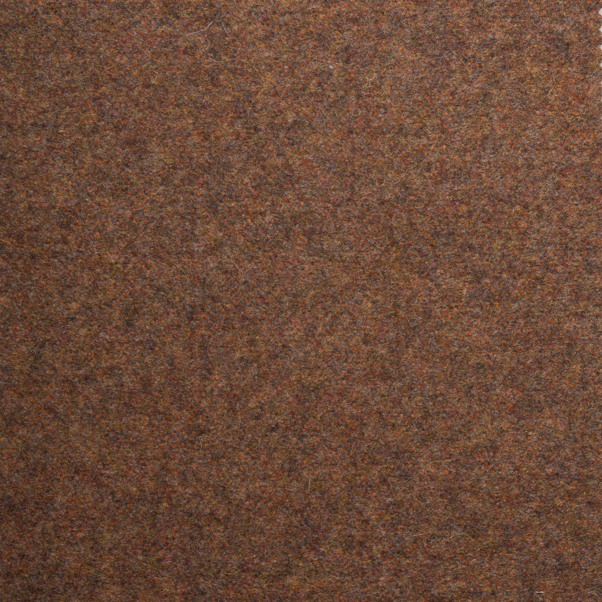 Melton Wool Fabric, Birch
