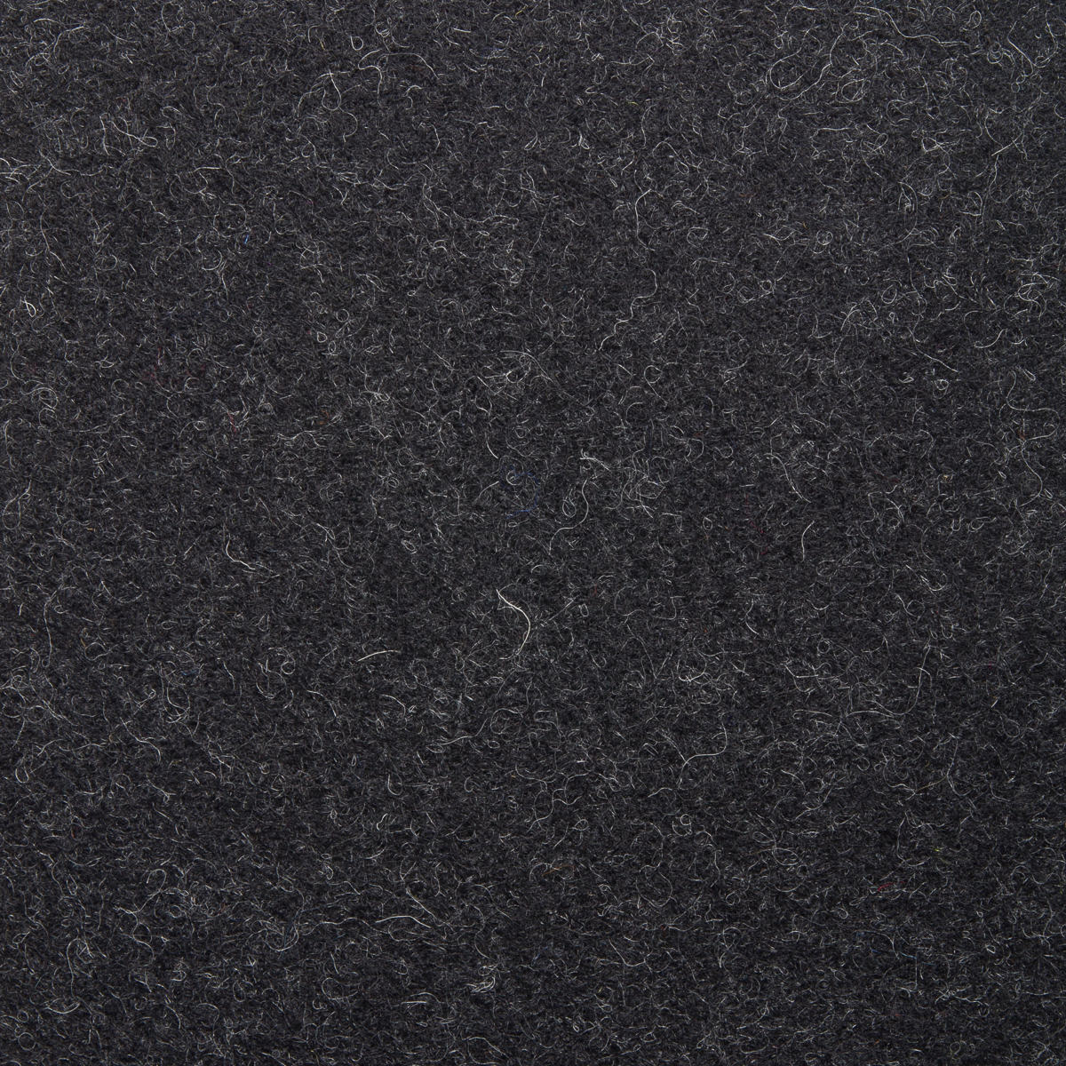 Bignor Melton Jet Black