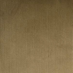 Hunter Heavyweight Mid Whale Corduroy in Beige