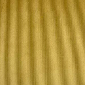 Hunter Corduroy in Corn