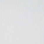 Hunter Heavyweight 8 Whale Corduroy in White