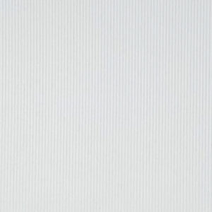 Hunter Heavyweight 8 Whale Corduroy in White