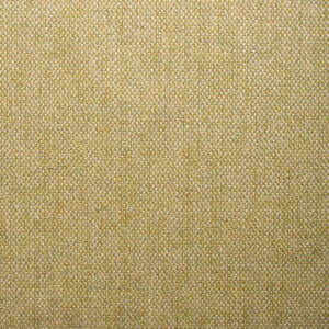 Finn 07 Donegal Style Fabric in Asparagus Yellow