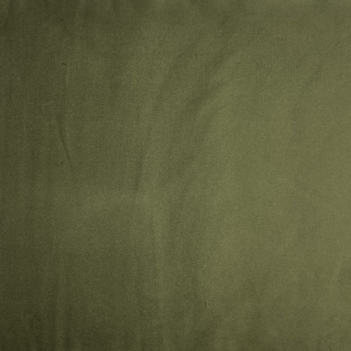 Mediumweight Luxury Cotton Velvet in Moss Green