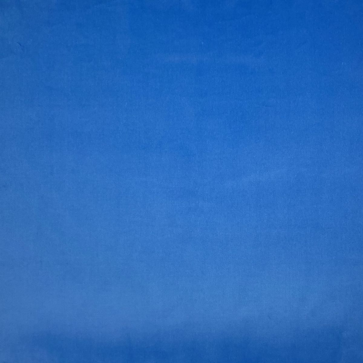 Mediumweight Luxury Cotton Velvet in blue